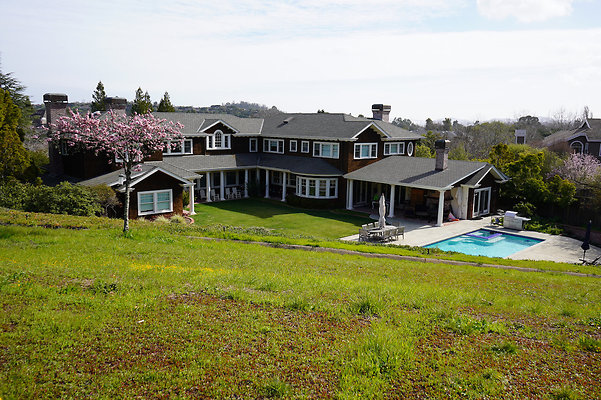 pheasantsanrafael - 5 pheasantsanrafael - 5