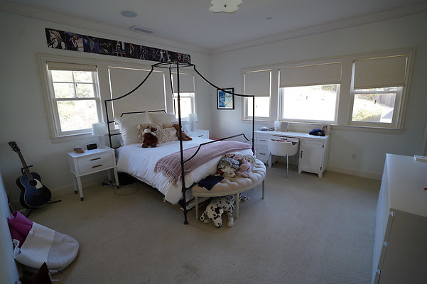 pheasantsanrafael - 23 pheasantsanrafael - 23