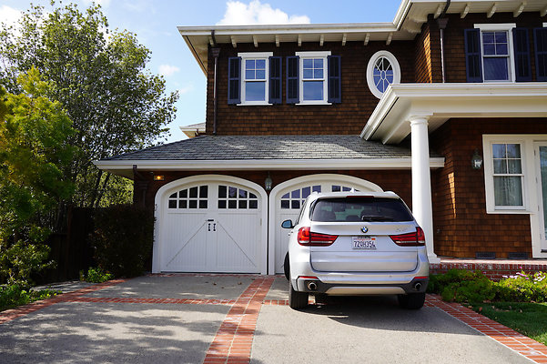 pheasantsanrafael - 6 pheasantsanrafael - 6