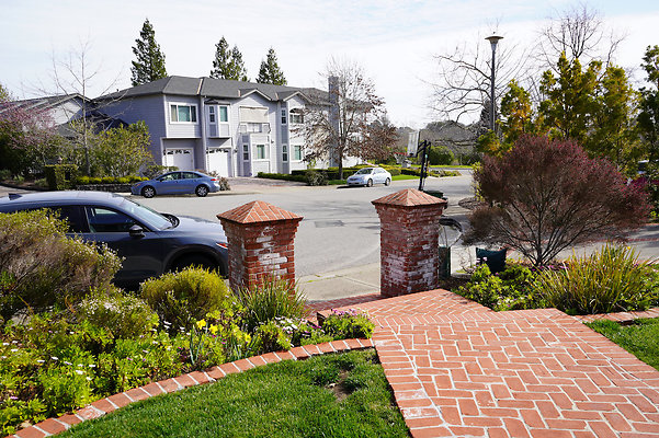 pheasantsanrafael - 15 pheasantsanrafael - 15