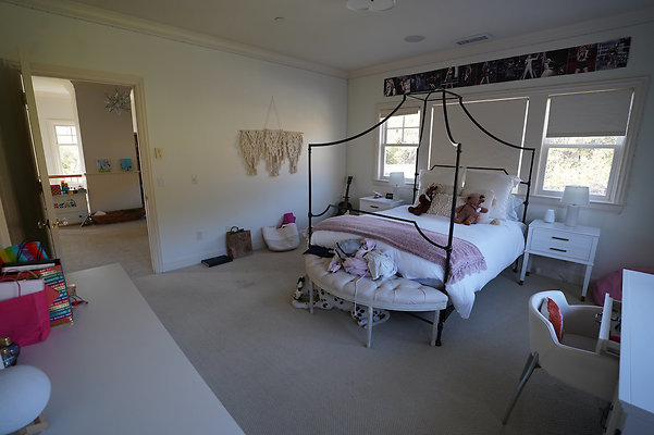 pheasantsanrafael - 29 pheasantsanrafael - 29