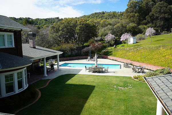 pheasantsanrafael - 62 pheasantsanrafael - 62