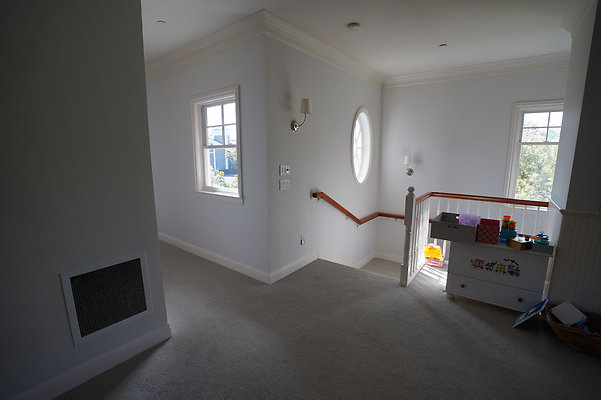 pheasantsanrafael - 25 pheasantsanrafael - 25