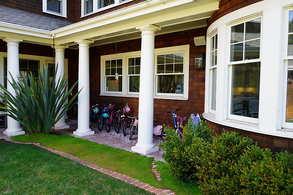 pheasantsanrafael - 77 pheasantsanrafael - 77