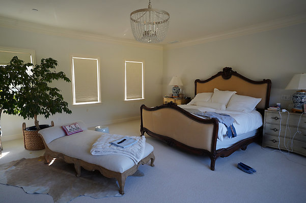 pheasantsanrafael - 27 pheasantsanrafael - 27