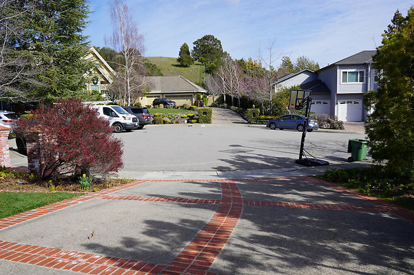 pheasantsanrafael - 11 pheasantsanrafael - 11