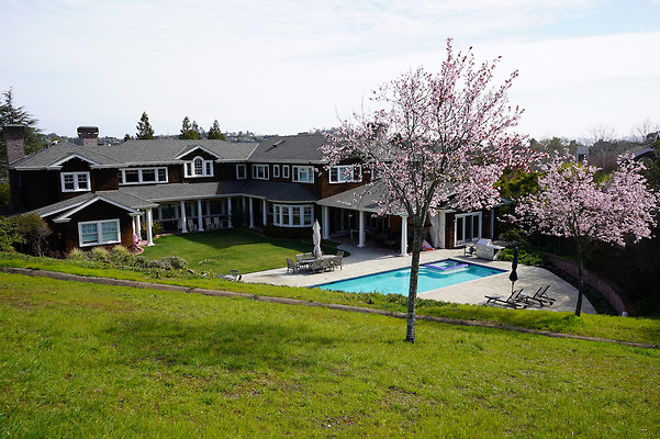 pheasantsanrafael - 3 pheasantsanrafael - 3