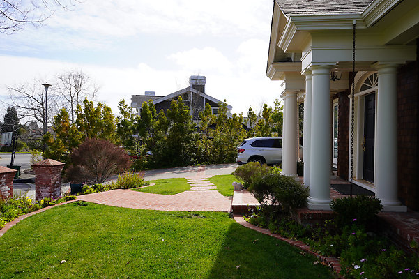 pheasantsanrafael - 16 pheasantsanrafael - 16