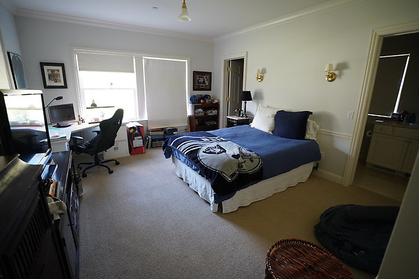 pheasantsanrafael - 24 pheasantsanrafael - 24