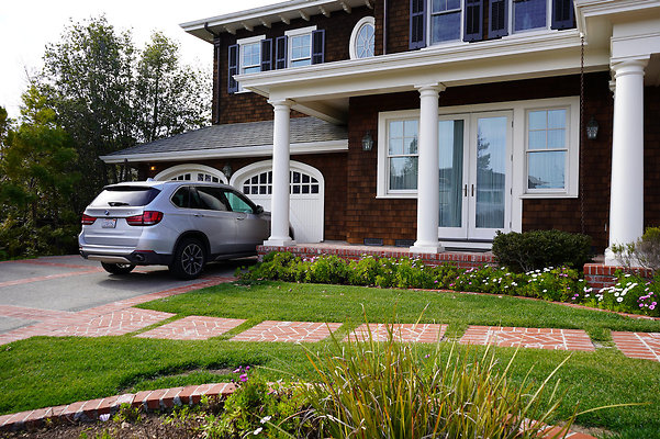 pheasantsanrafael - 8 pheasantsanrafael - 8