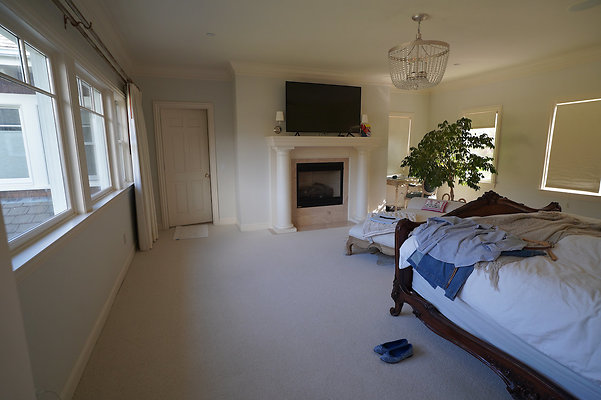 pheasantsanrafael - 31 pheasantsanrafael - 31