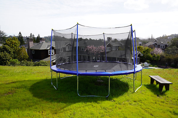 pheasantsanrafael - 4 pheasantsanrafael - 4