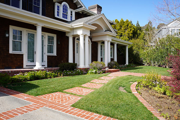 pheasantsanrafael - 7 pheasantsanrafael - 7