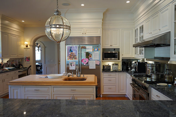 pheasantsanrafael - 51 pheasantsanrafael - 51