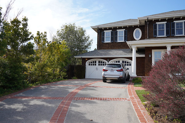 pheasantsanrafael - 13 pheasantsanrafael - 13