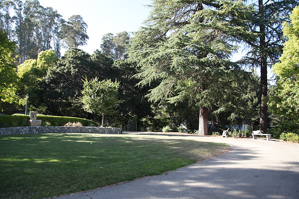 parkersanrafael - 7 parkersanrafael - 7