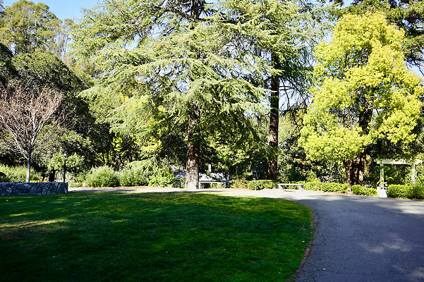 parkersanrafael - 81 parkersanrafael - 81