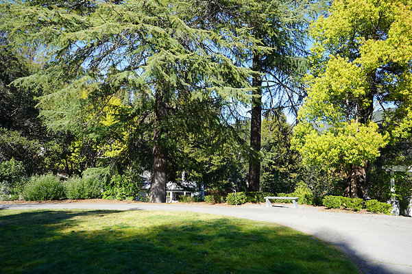 parkersanrafael - 79 parkersanrafael - 79