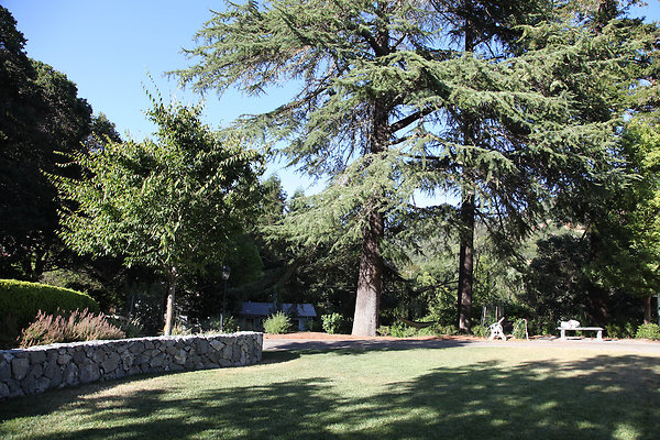 parkersanrafael - 6 parkersanrafael - 6