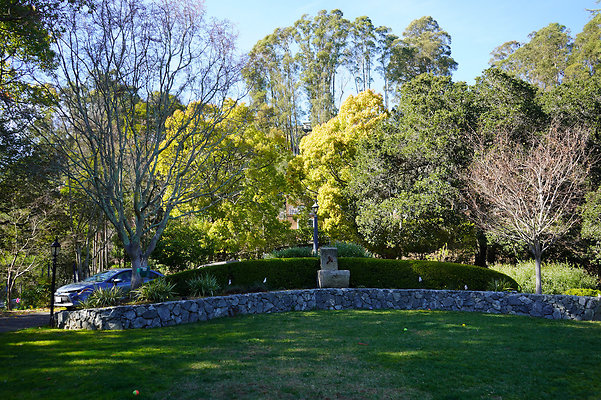 parkersanrafael - 80 parkersanrafael - 80