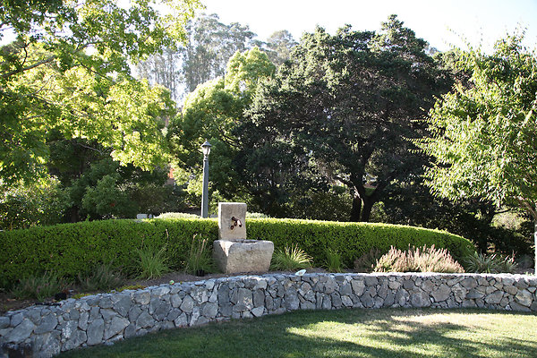 parkersanrafael - 5 parkersanrafael - 5