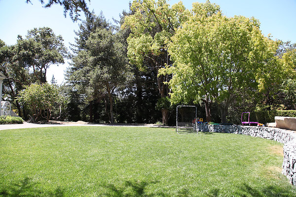 parkersanrafael - 3 parkersanrafael - 3