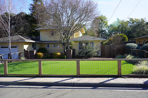 nicolenovato - 3 nicolenovato - 3