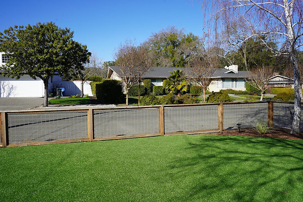 nicolenovato - 11 nicolenovato - 11