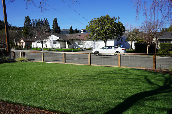 nicolenovato - 12 nicolenovato - 12