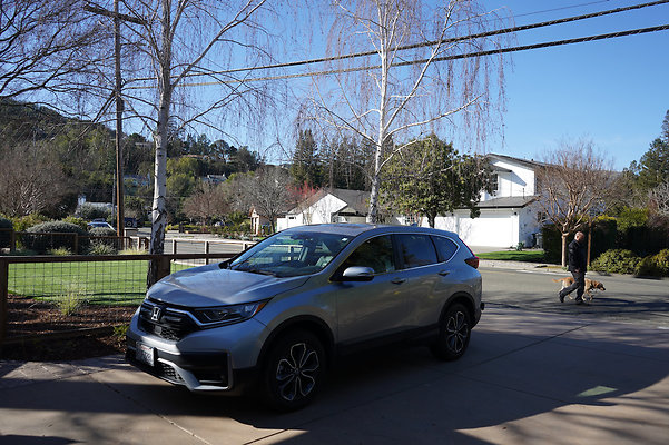 nicolenovato - 8 nicolenovato - 8