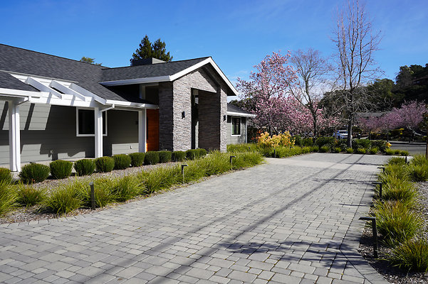 sandynovato - 6 sandynovato - 6