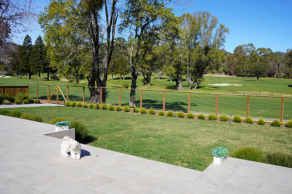 sandynovato - 51 sandynovato - 51