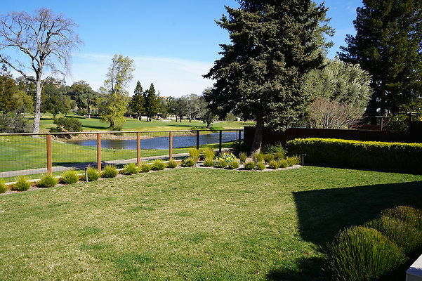 sandynovato - 13 sandynovato - 13