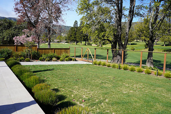 sandynovato - 11 sandynovato - 11