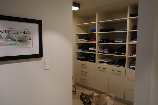 sandynovato - 19 sandynovato - 19