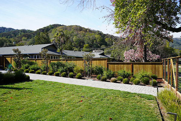 sandynovato - 10 sandynovato - 10