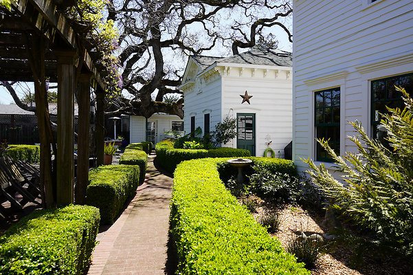 turnerpetaluma - 61 turnerpetaluma - 61