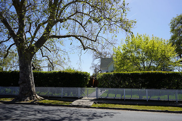 turnerpetaluma - 56 turnerpetaluma - 56