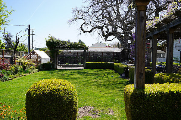 turnerpetaluma - 51 turnerpetaluma - 51