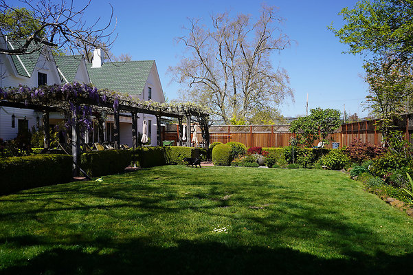 turnerpetaluma - 53 turnerpetaluma - 53