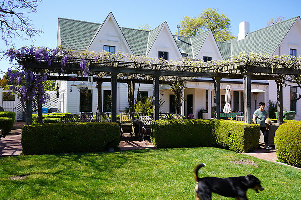 turnerpetaluma - 54 turnerpetaluma - 54