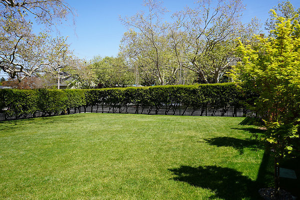 turnerpetaluma - 11 turnerpetaluma - 11