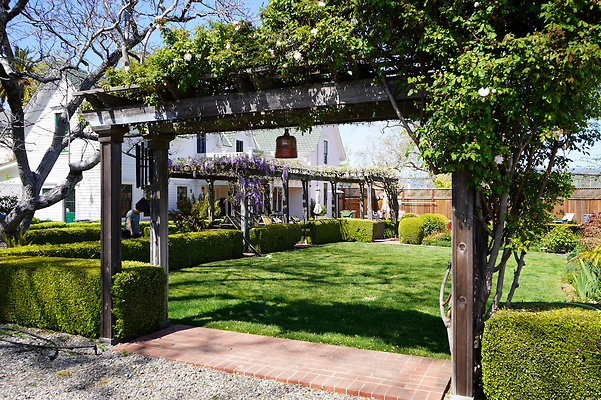 turnerpetaluma - 55 turnerpetaluma - 55