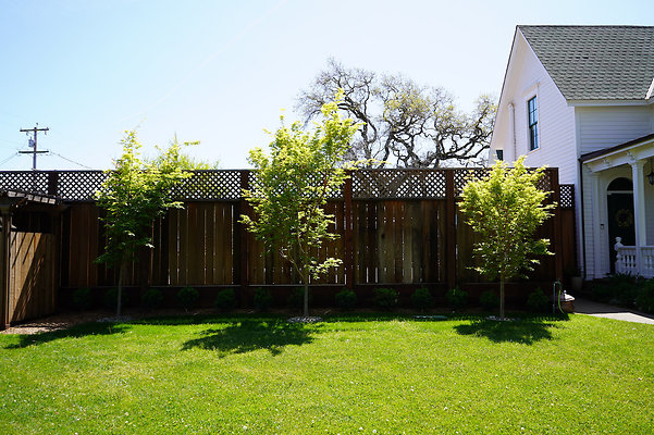 turnerpetaluma - 12 turnerpetaluma - 12