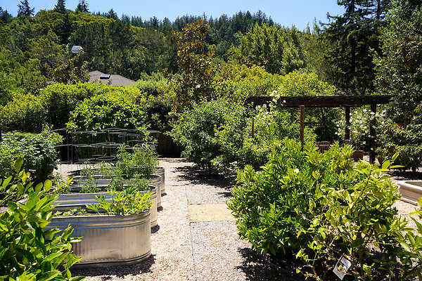 shadowcreekfairfax - 51 shadowcreekfairfax - 51