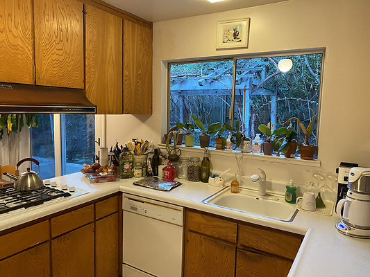 schiradosanrafael - 18 schiradosanrafael - 18