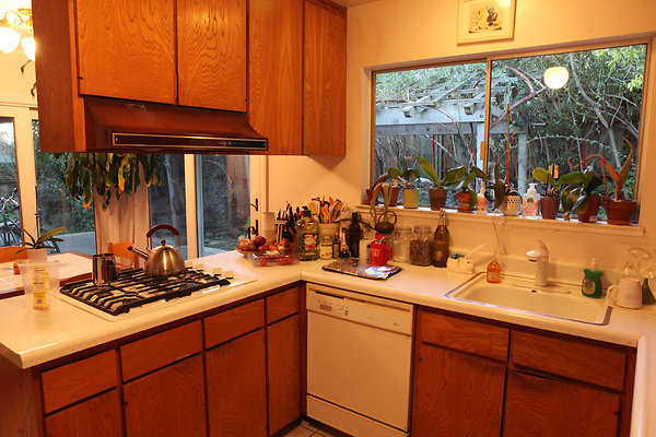 schiradosanrafael - 13 schiradosanrafael - 13