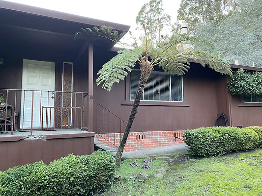 schiradosanrafael - 3 schiradosanrafael - 3