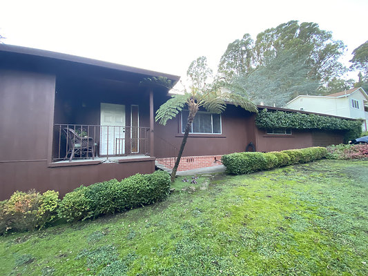 schiradosanrafael - 4 schiradosanrafael - 4