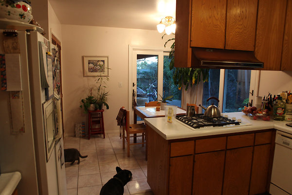 schiradosanrafael - 14 schiradosanrafael - 14